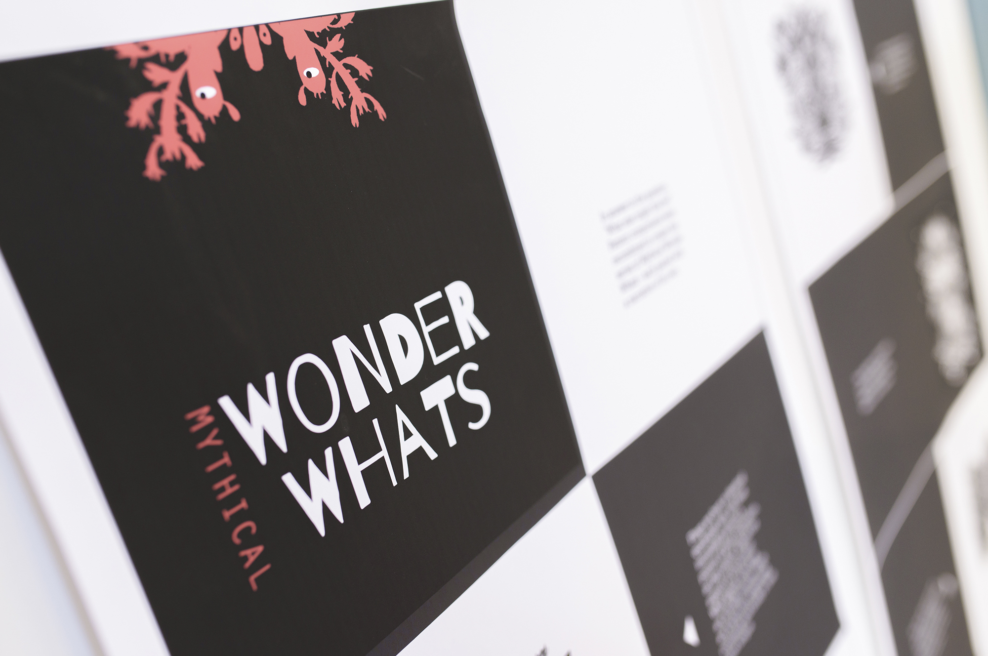 wonder-whats